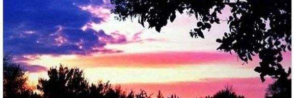 Alokla's profile banner image