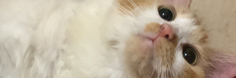 Amelindaa_'s profile banner image