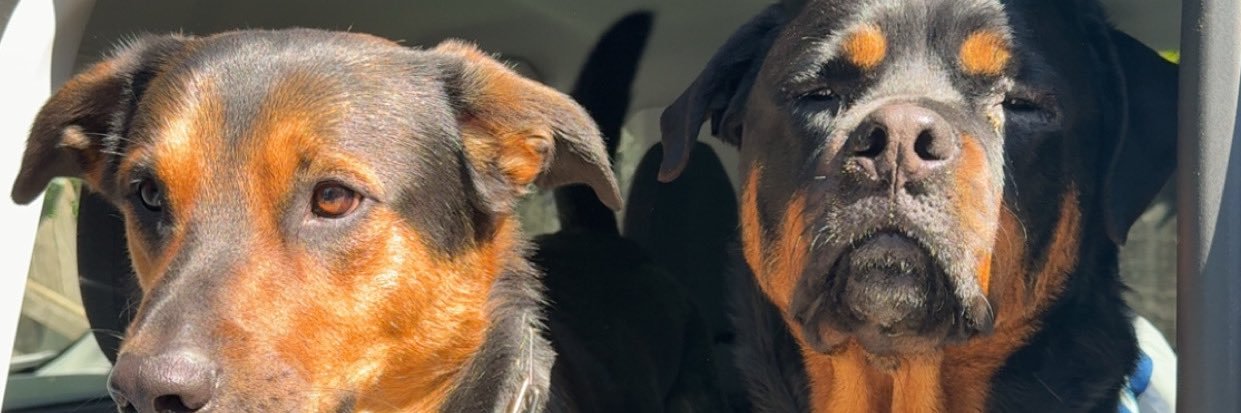 RobbyyGee's profile banner image