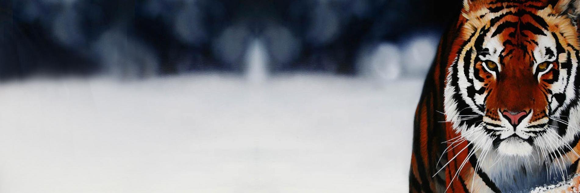 sathani007's profile banner image
