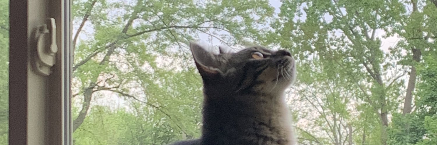 emilyreids's profile banner image