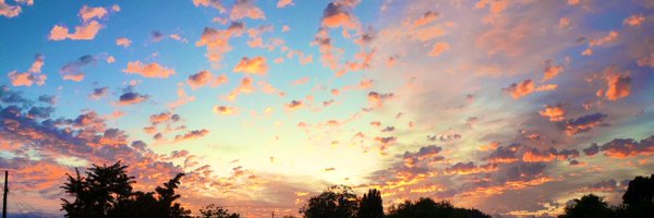 _vargo Profile Banner