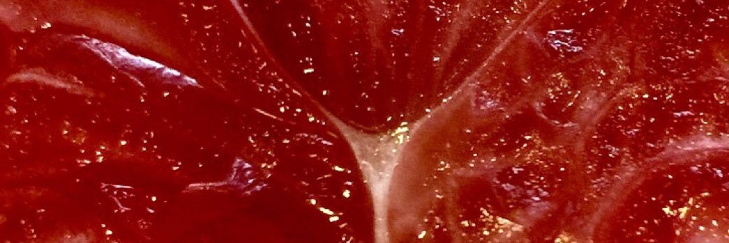 muipo1's profile banner image