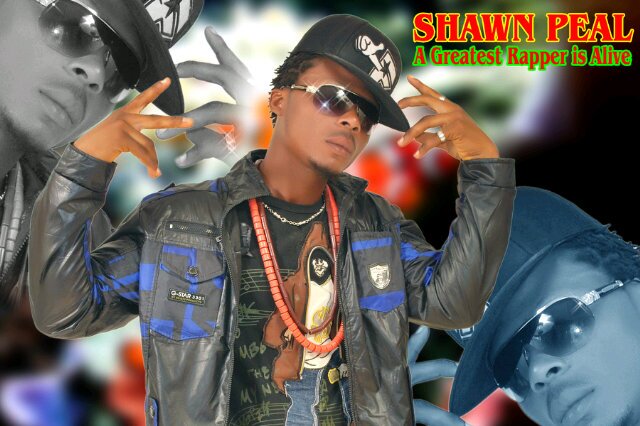 Shawnpeal's profile banner image