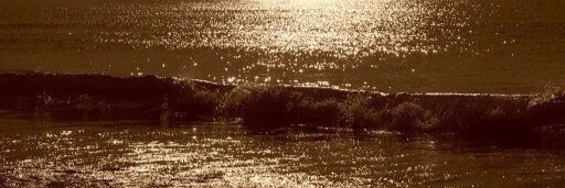 Brian Stolk banner
