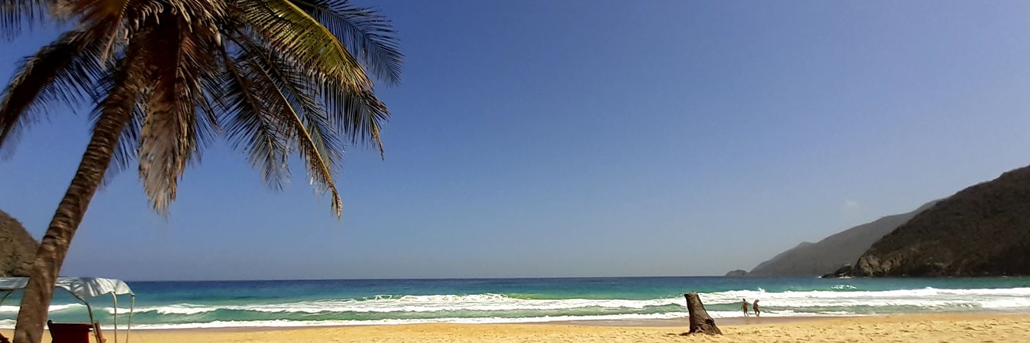 TaixD's profile banner image