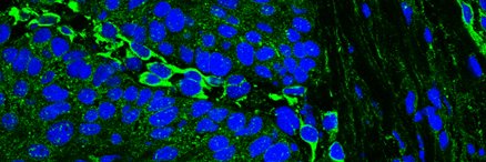 Christoffer.Gebhardt banner