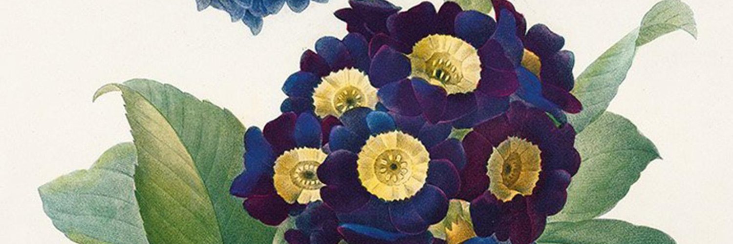 PierreLaFluer's profile banner image