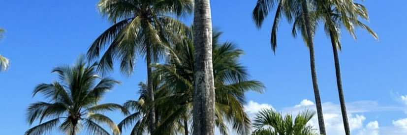 IamYannickL's profile banner image