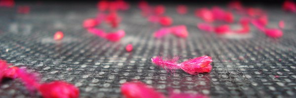 saidJen Profile Banner