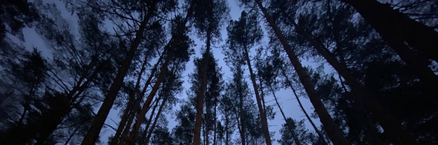 Sky_l_er's profile banner image