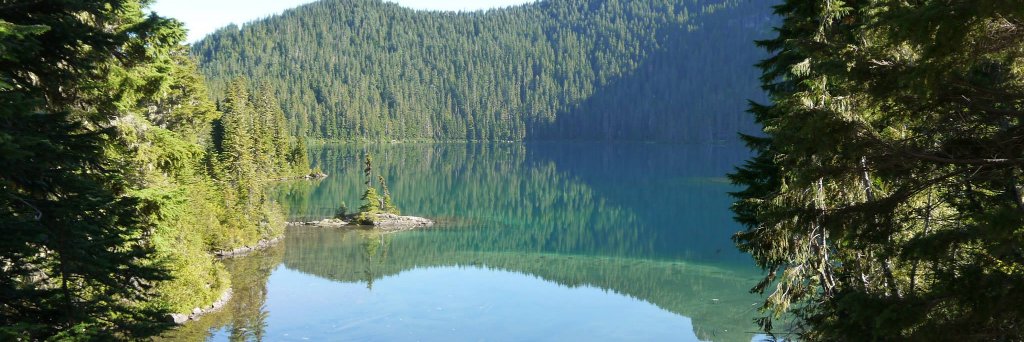 Kellie Bramlet banner