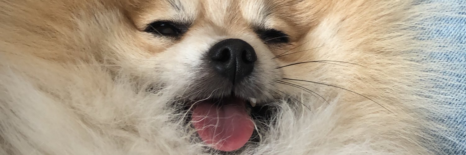 mariamesa5's profile banner image
