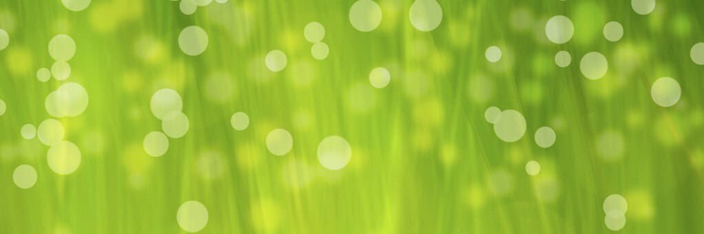 msu111's profile banner image
