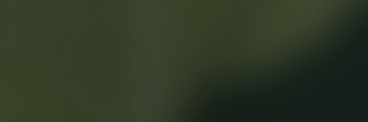 red133883's profile banner image