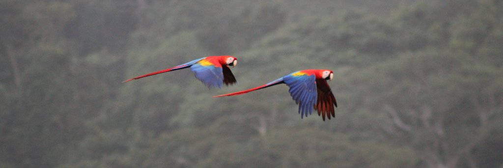 Condortours's profile banner image