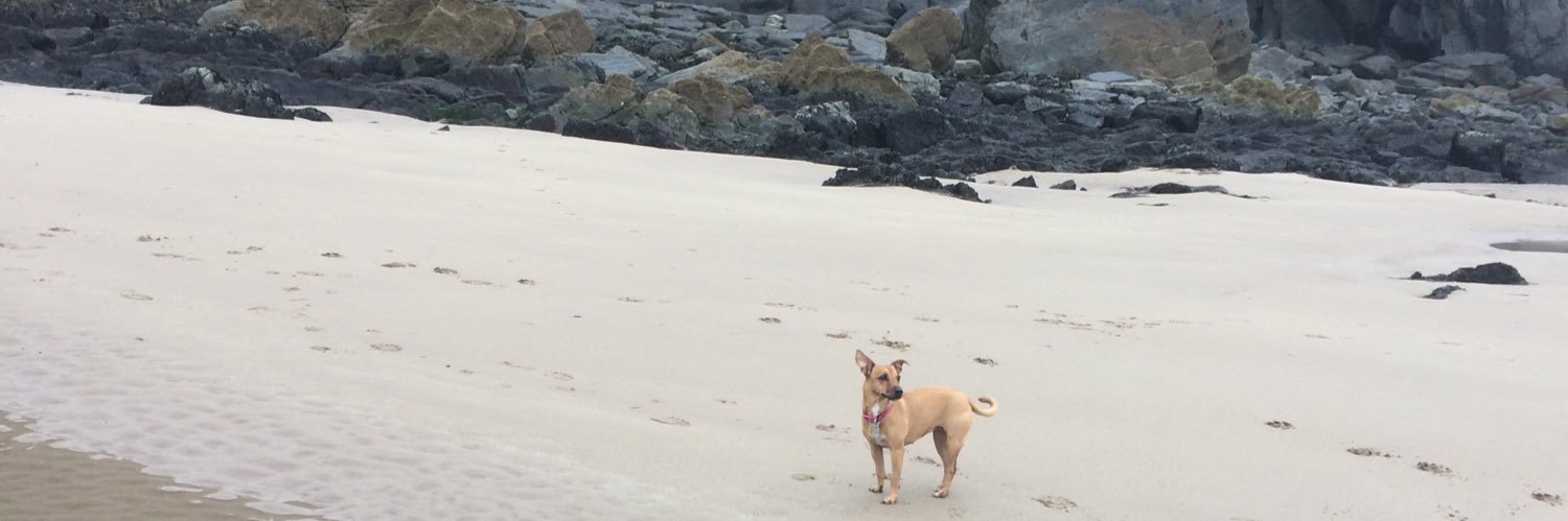 Norma Bingham banner