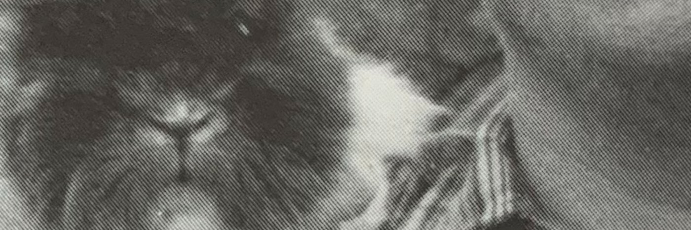 The Travis Waltons banner