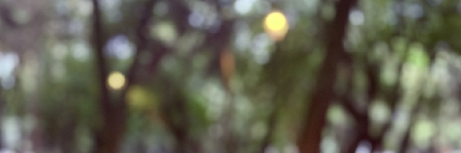Veritogroove's profile banner image