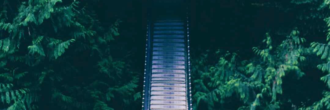 MayShaq's profile banner image