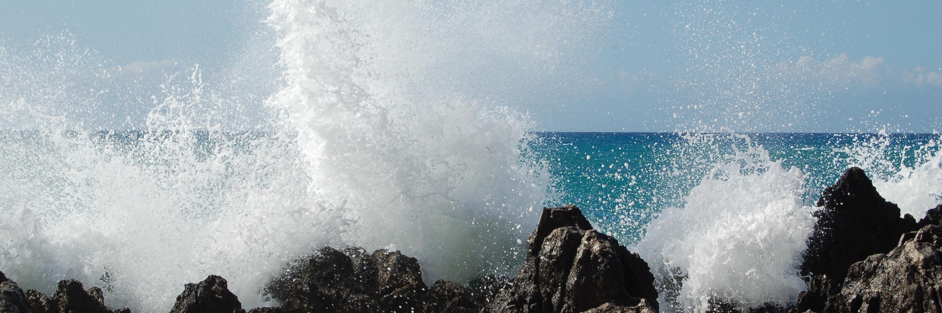 michelacalloni's profile banner image