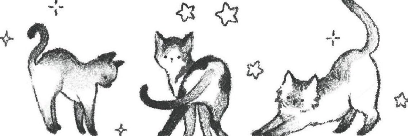 breeisapawg's profile banner image