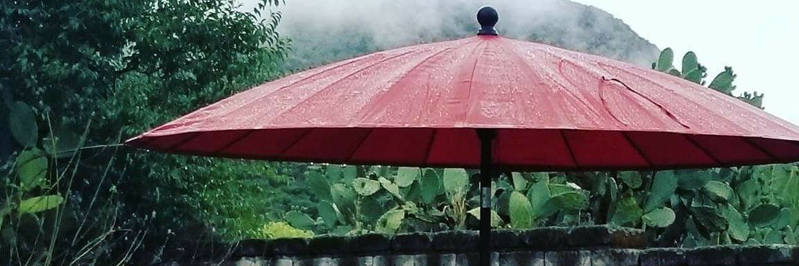jujujths's profile banner image