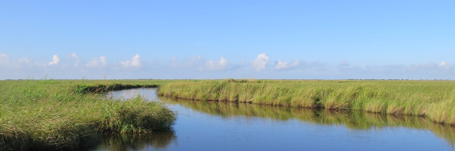 Restore the Delta banner