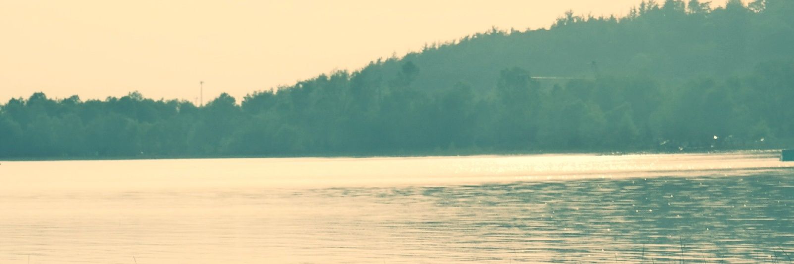 byzaa54's profile banner image