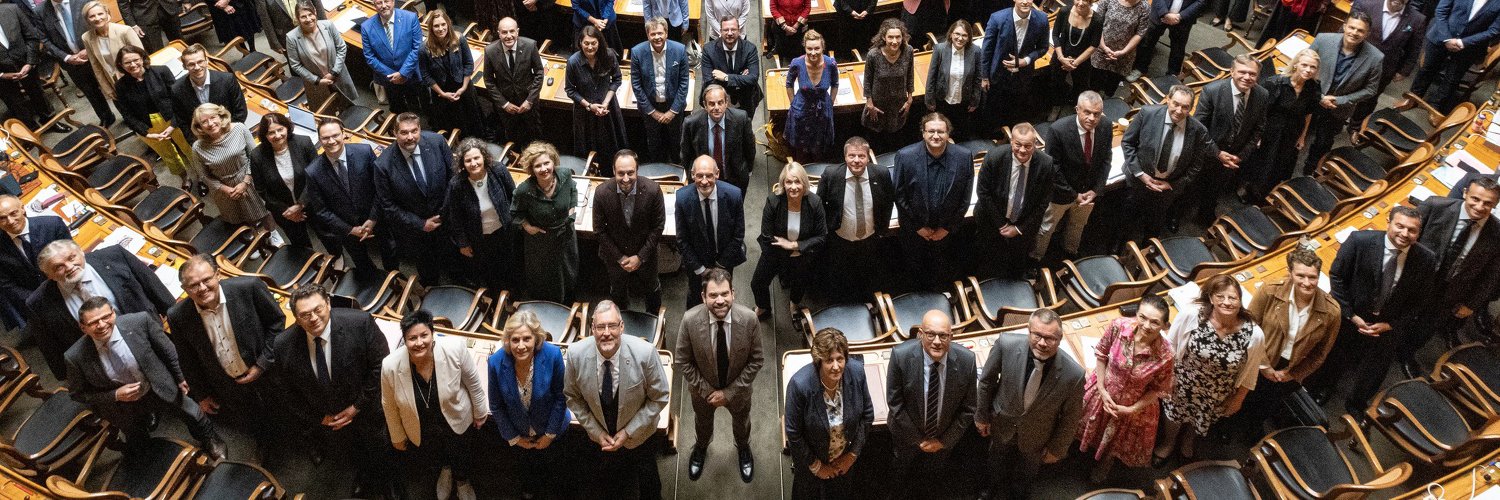 Christian Wasserfallen banner