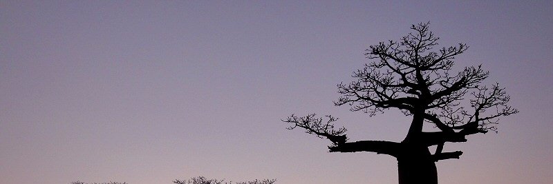 tksimd banner