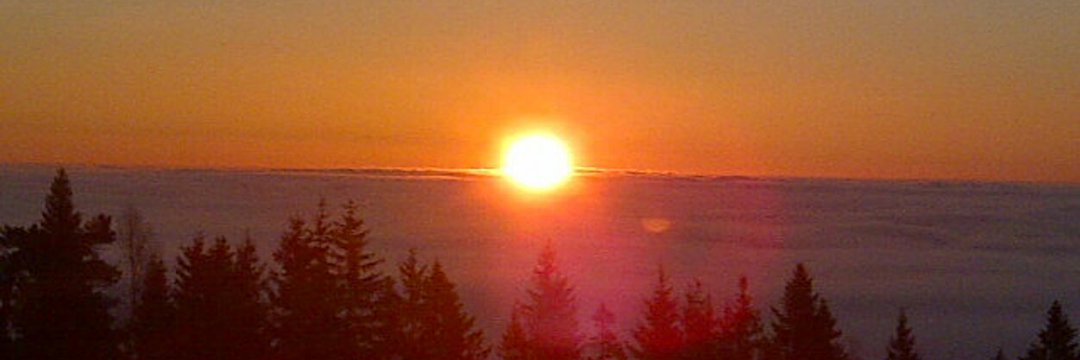 federico bonaglia banner