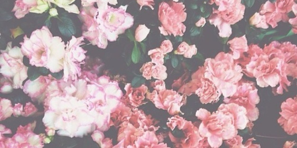 Elke_van_Beek's profile banner image