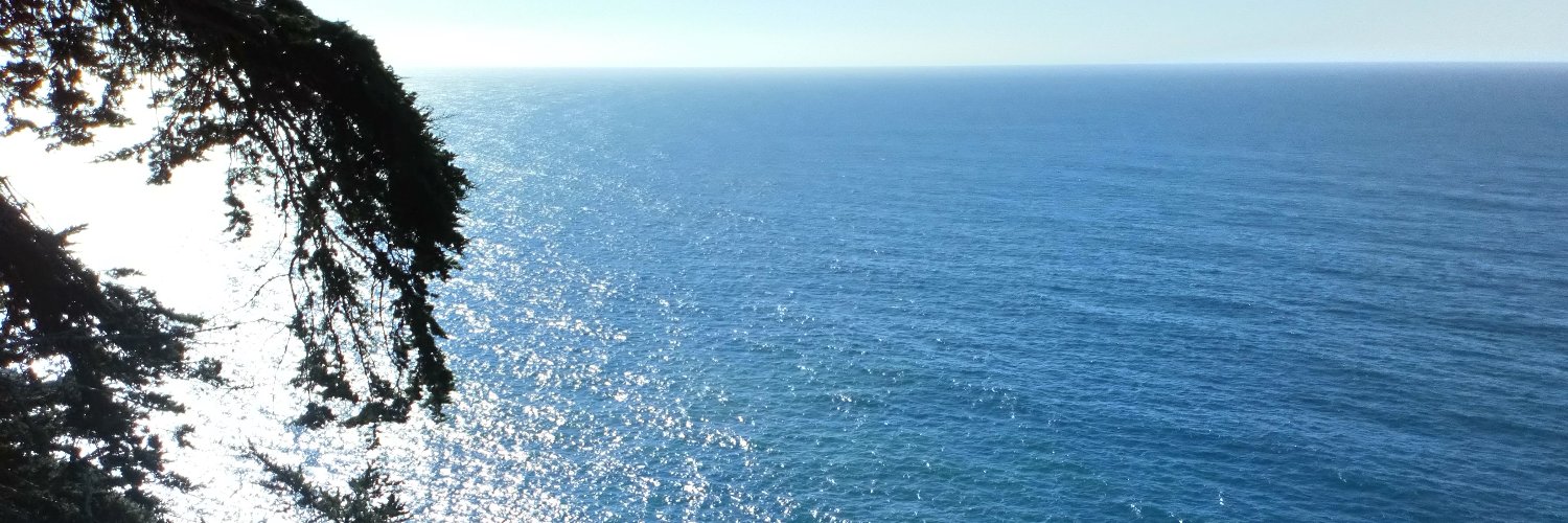 MirkoCarrillo's profile banner image