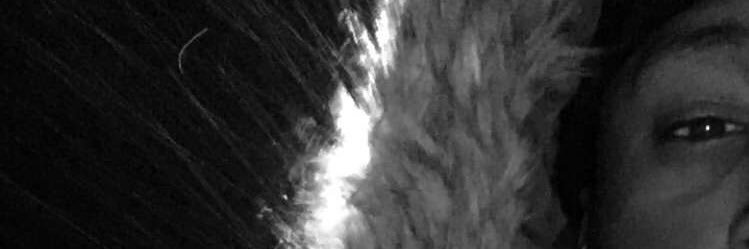 Vii Tee banner