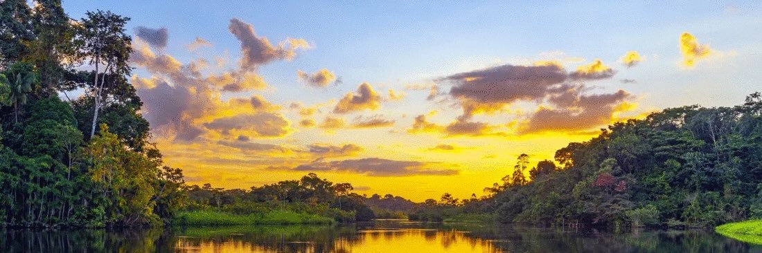 Sunrise7770's profile banner image