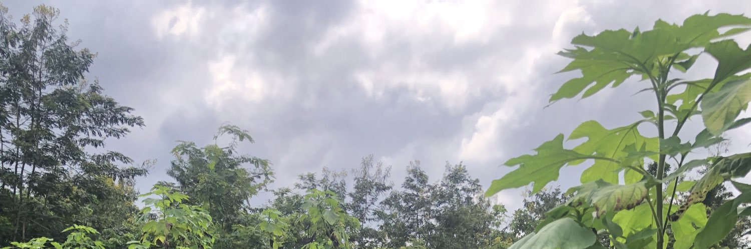 tjishaq's profile banner image