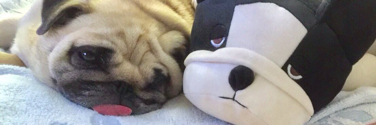 kbminami's profile banner image