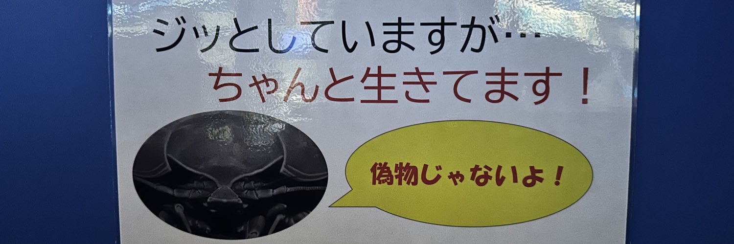 讃岐造 banner
