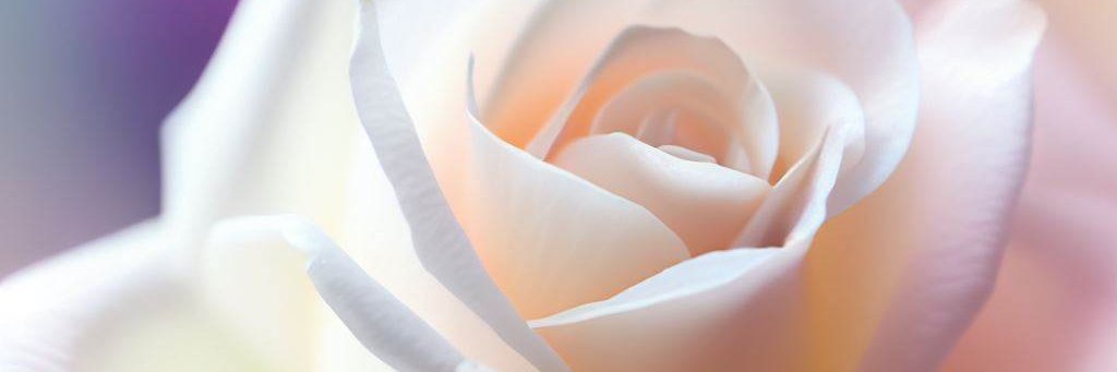 c_maciel's profile banner image