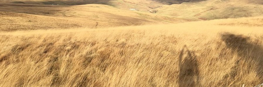 keithalexander.bsky.social banner