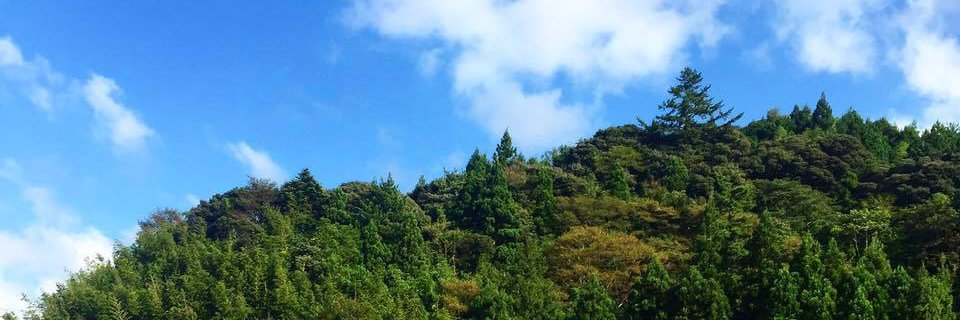 Satsuko • サツ子 banner