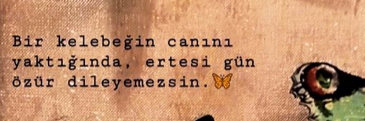 Gzdilk's profile banner image
