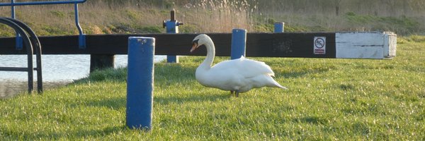 BorehamChurch Profile Banner