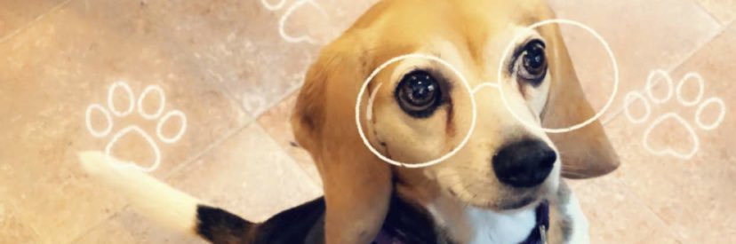 MeAshley123's profile banner image