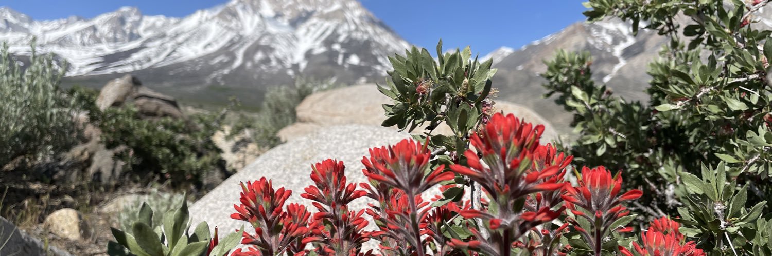 Inyo National Forest banner