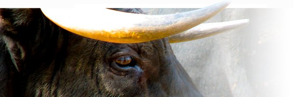 Anticorrida Profile Banner