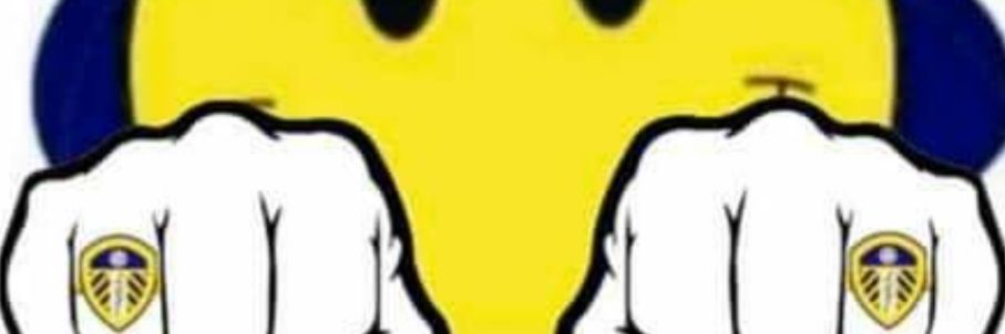stevelufc01's profile banner image