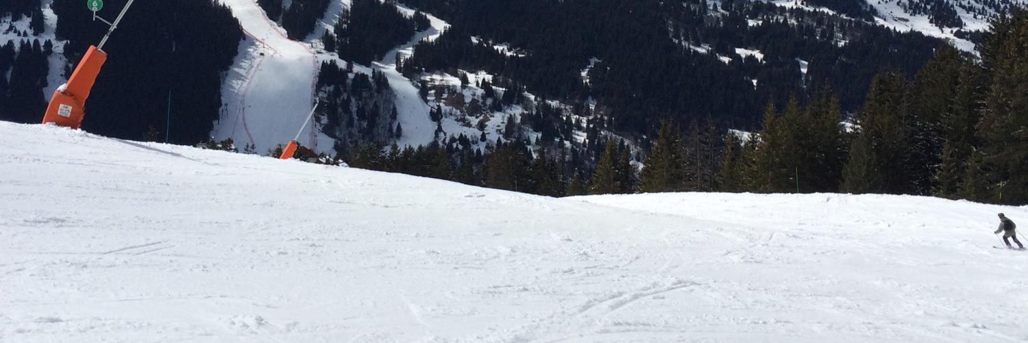 paulhalliday1's profile banner image