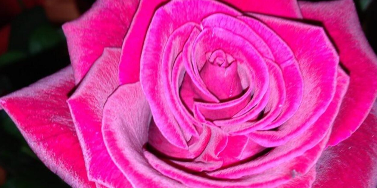 lucyboolish's profile banner image